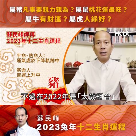 2023年門口地毯顏色蘇民峰|蘇民峰 2023兔年流年風水佈局 • 旺人緣化是非 • 催財 • 催文昌考。